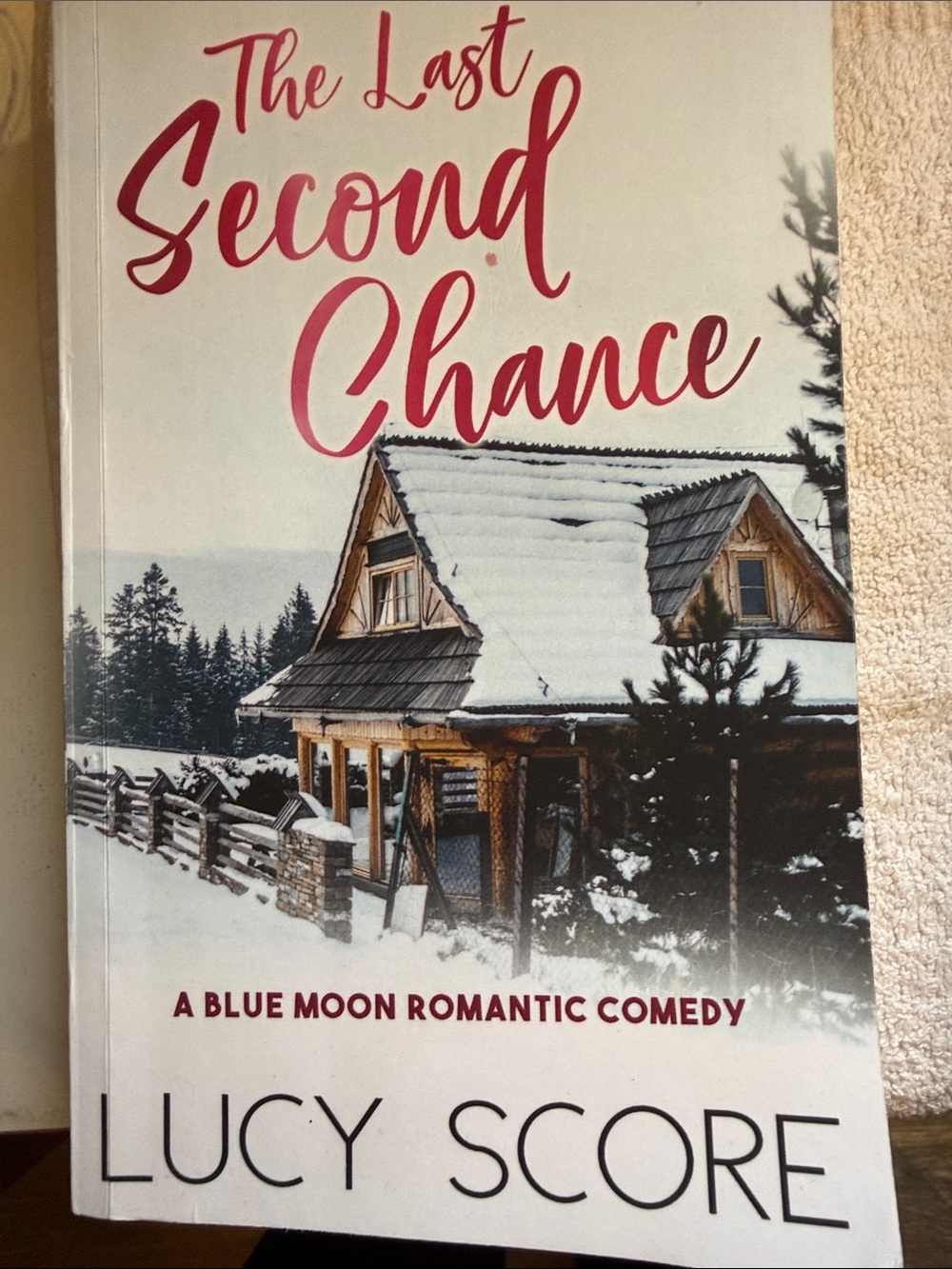 The Last Second Chance - Pink Cover Home Accent Book